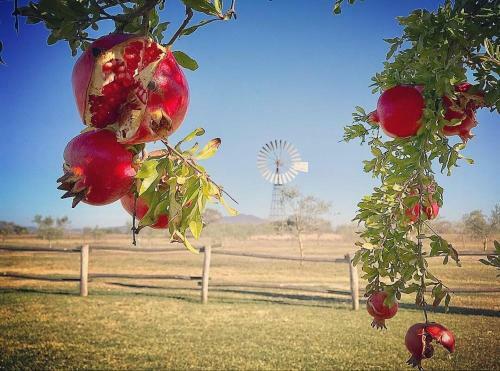 Agroturismo Agriturismo Vento Di Maremma