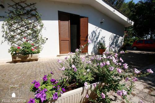 Villa Verde And Pool M215