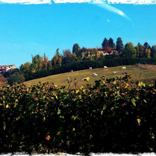 Hotel Locanda Del Boscogrande