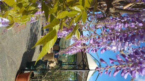 Hotel Locanda Del Boscogrande