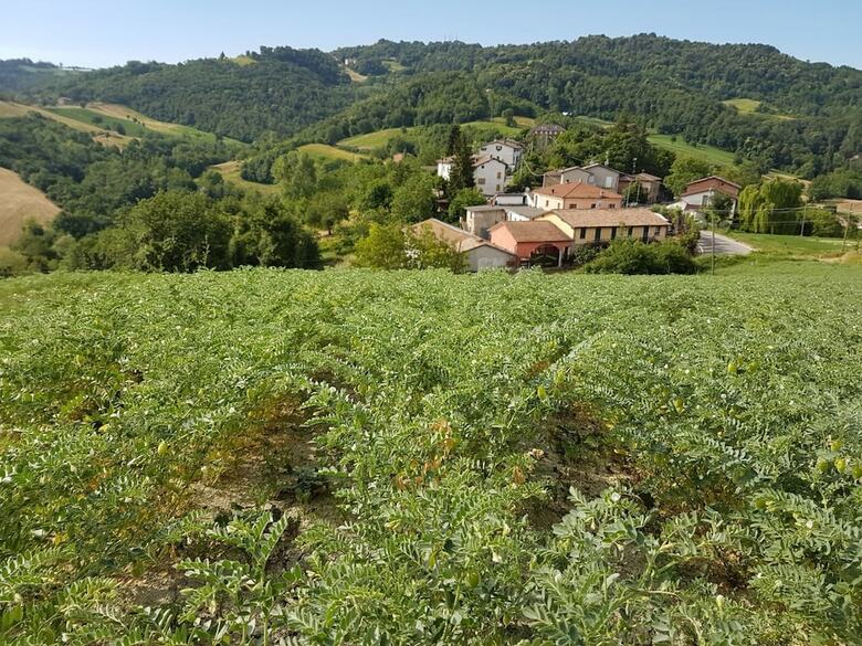 Agroturismo Agriturismo Di Sordiglio