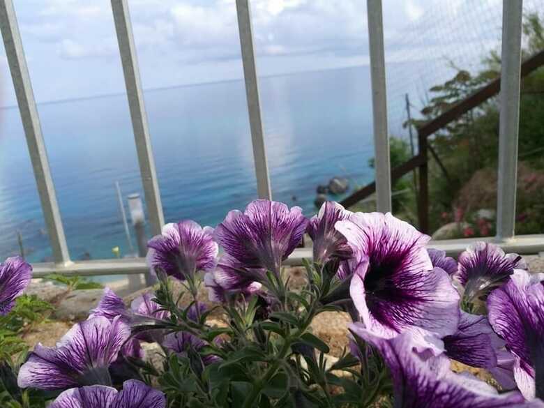 Hostal Borgo Degli Dei - Affittacamere Poseidone