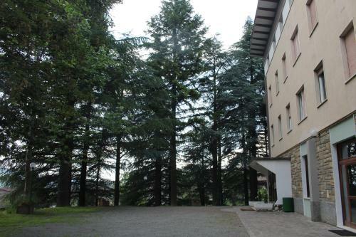 Hotel Albergo Dragone