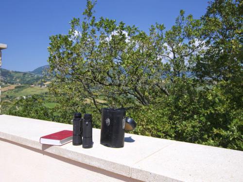 Villa With Tower Between Olive Trees With Private Swimming Pool, Nice View