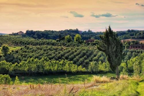Castellina In Chianti Apartment Sleeps 2 Pool Wifi