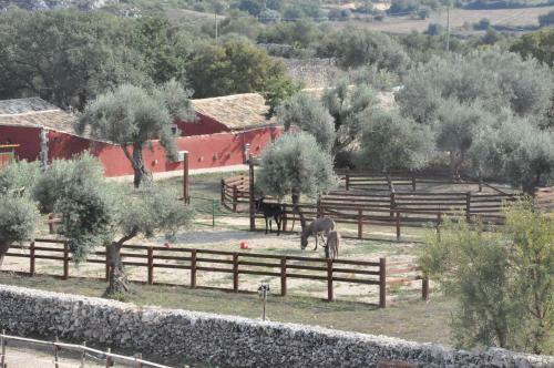 Agroturismo Agriturismo Agrimilo