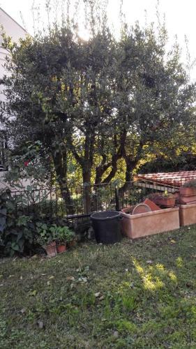 Lucrezia Apartment