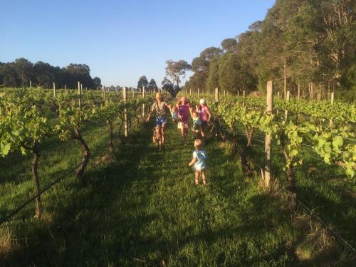 Lodge Island Brook Estate Winery And Chalets