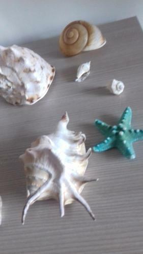 Apartamento Little Paradise Casa Vacanze