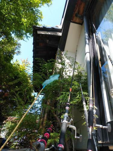 Hostal Guest House Darumaya