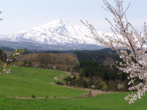 Chokai Sarukuraonsen Hotel Foresta Chokai