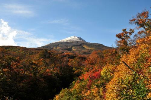 Chokai Sarukuraonsen Hotel Foresta Chokai