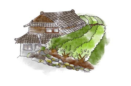 Hostal Sky Tea House