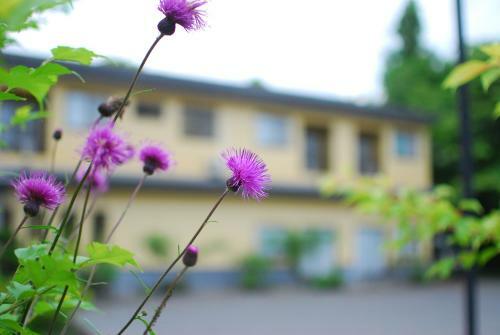 Hostal Shizukatei