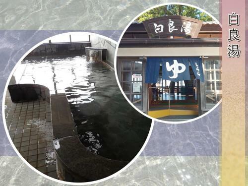 Hostal Bali & Cat Guest House