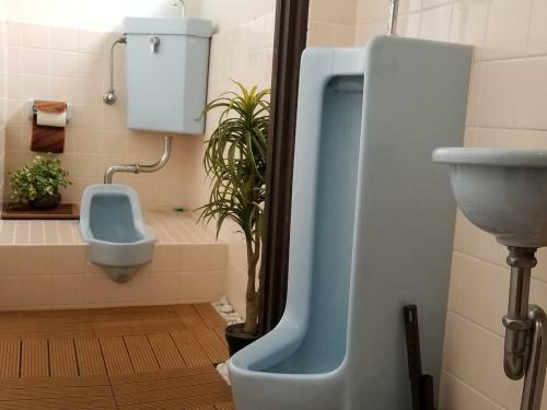 Hostal Bali & Cat Guest House
