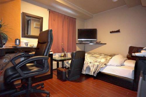 Hotel Satellite