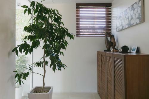 Villa Beach House Purau