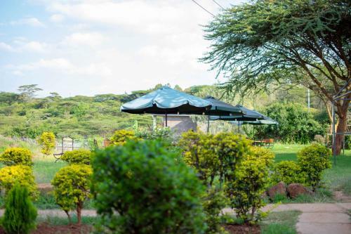 Lodge Game View Hotel