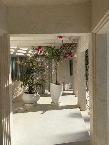 The Villa Luxury Suites Hotel