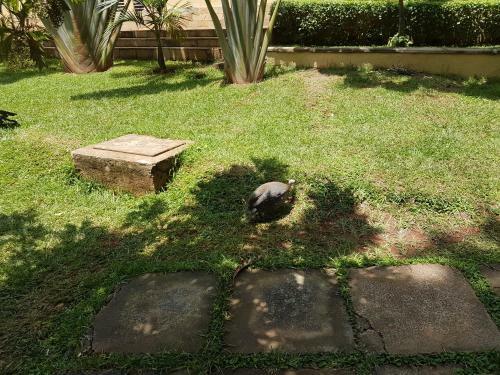 Hotel Ufanisi Resort - Kisii