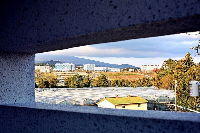 Jeju Inhouse Pension