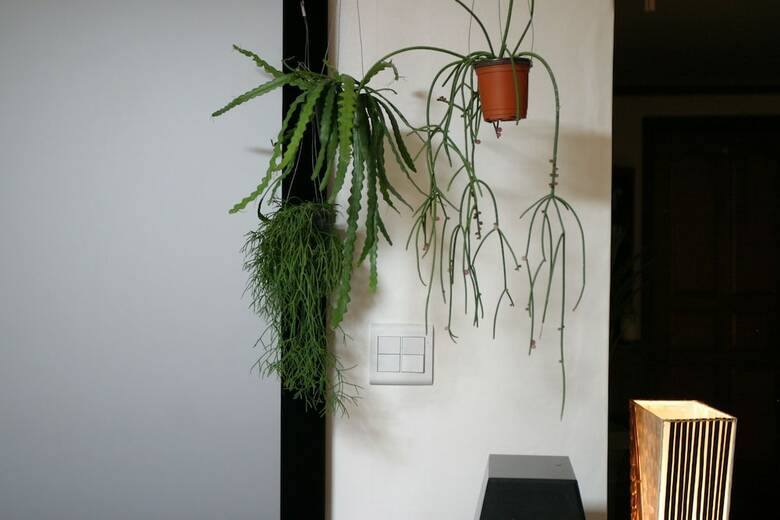 Hostal Refee House
