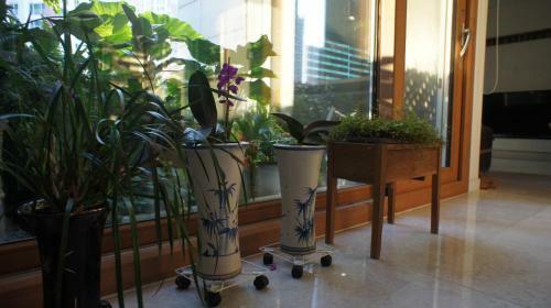 Bed & Breakfast Green Guest House