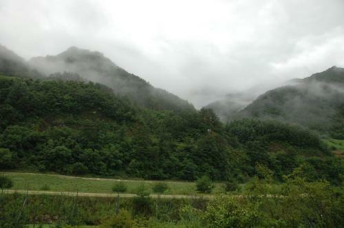 Sechi Pension