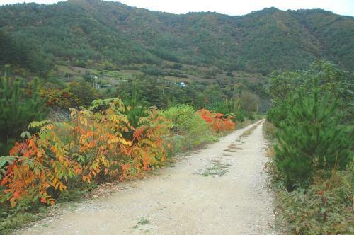 Sechi Pension
