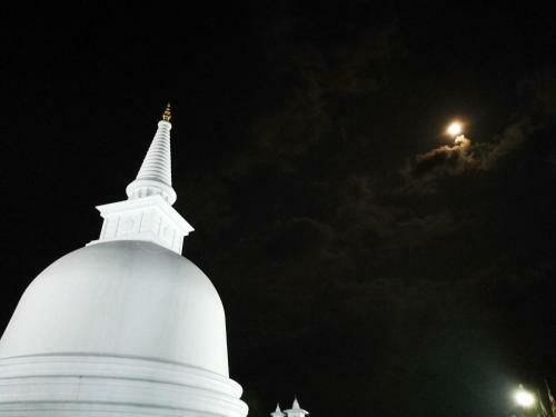 Hotel New Rest House - Mahiyanganaya