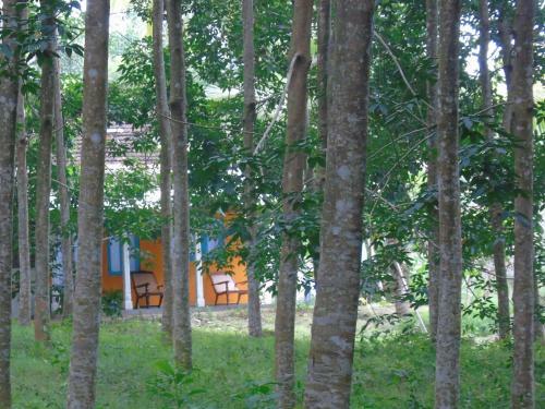 Agroturismo Heveya Cottage
