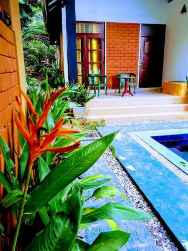 Bed & Breakfast Randoni Villa