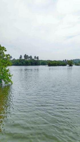 Samudra's Place