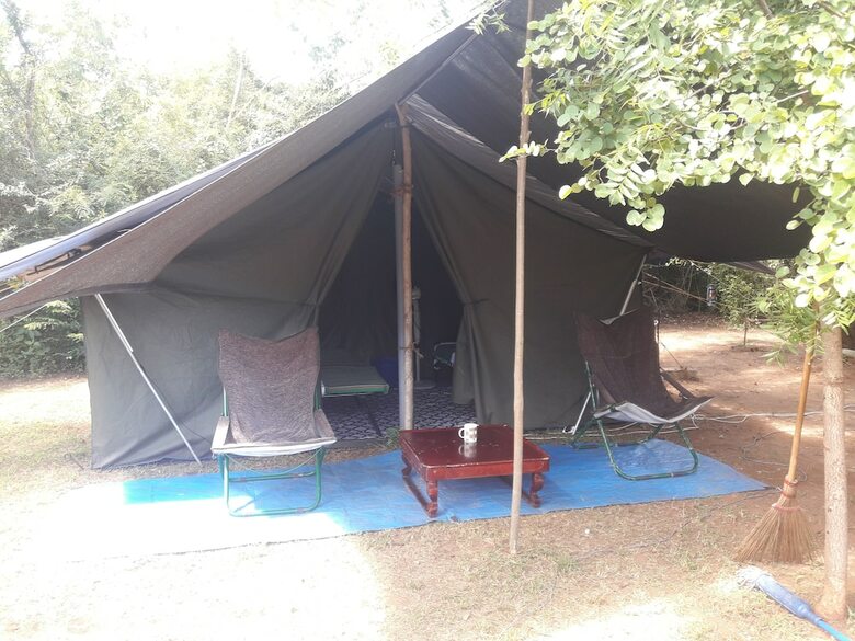 Dev's Campground - Tented Safari