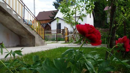 Apartman Tamara
