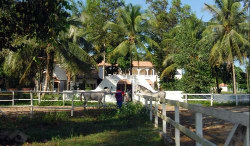 Bed & Breakfast Casa Titik
