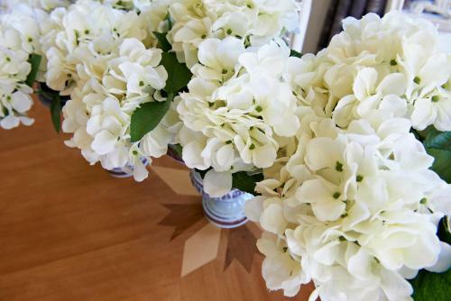 Cambridge Cottage - Self Catering Holiday House