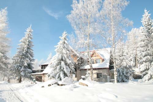 Bed & Breakfast Czajka