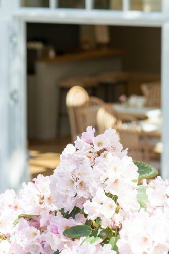 Hostal Villa Sedina
