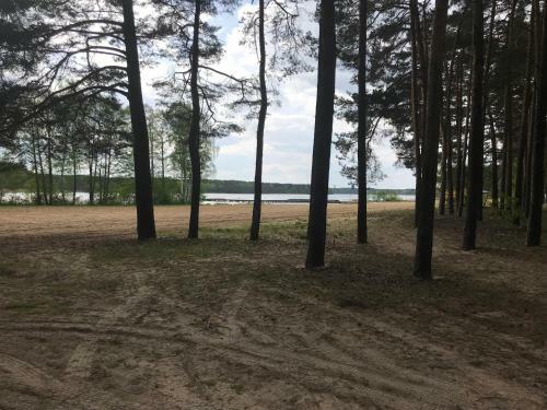 Lodge S?awa Family Resort