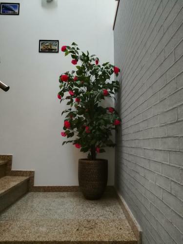 Agroturismo Casa Do Azibo