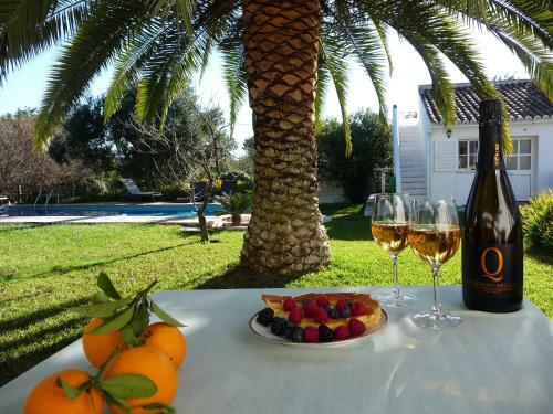 Bed & Breakfast Quinta Quinze