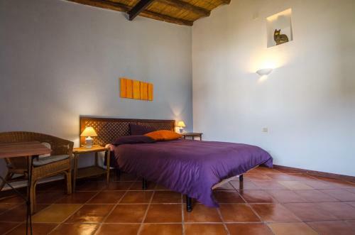 Bed & Breakfast Quinta Quinze