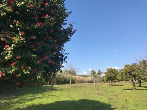 Agroturismo Monte Das Texugueiras