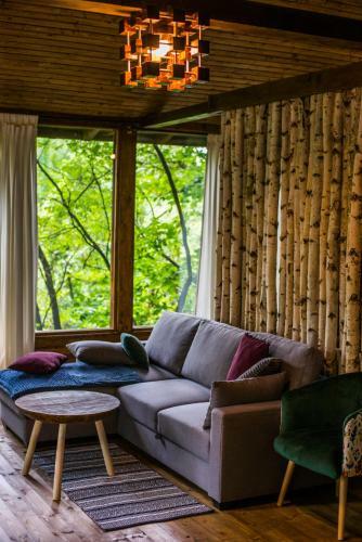 Porumbacu Treehouse