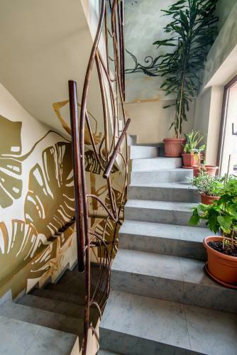 Hostal Pensiunea Paradis