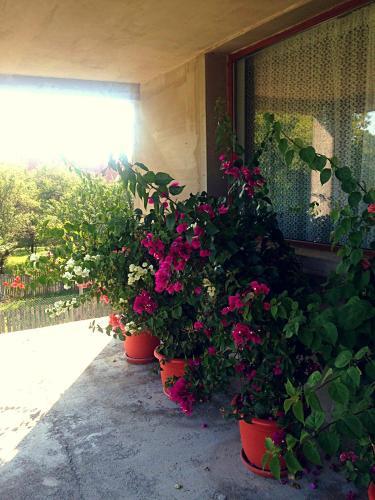 Hostal Casa Renti