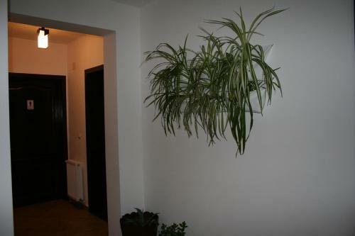 Hostal ,, La Moara ''