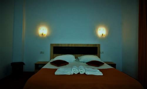 Hostal Pensiunea Ewe